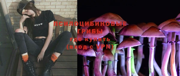 синтетический гашиш Новодвинск