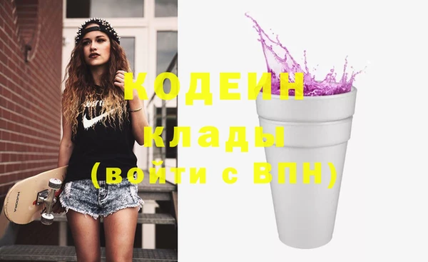 индика Верея