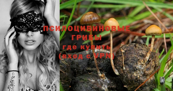 эйфоретик Новокубанск