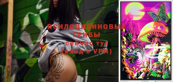 синтетический гашиш Новодвинск