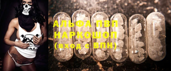 эйфоретик Новокубанск