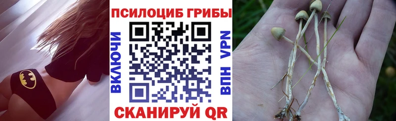 Галлюциногенные грибы Magic Shrooms  купить закладку  Семилуки 