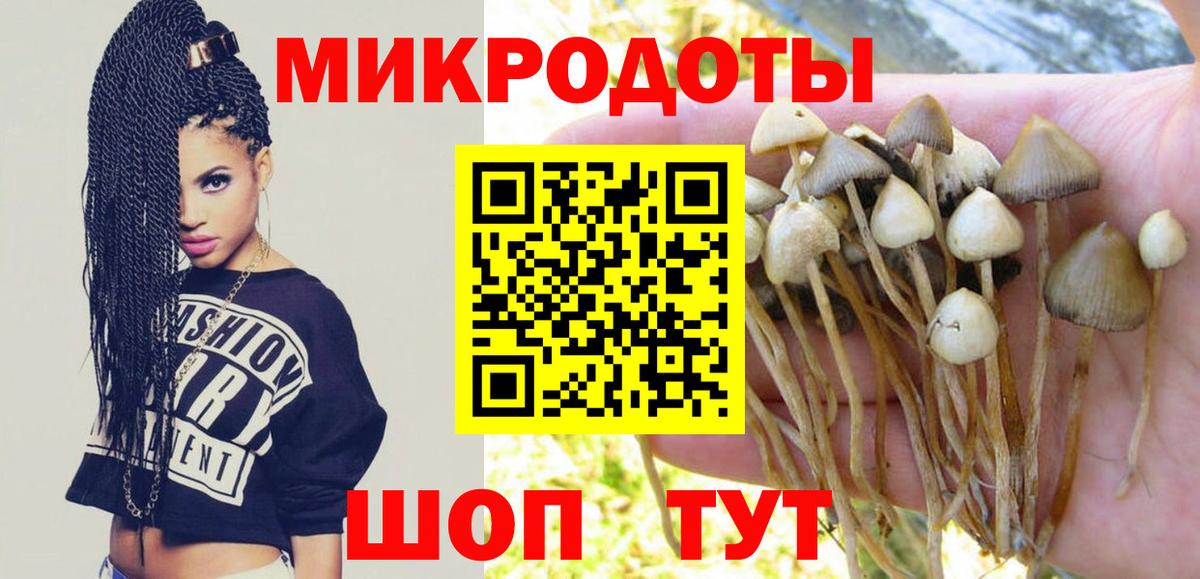 Псилоцибиновые грибы мицелий  как найти наркотики  Семилуки  Галлюциногенные грибы мухоморы  Вход с VPN 